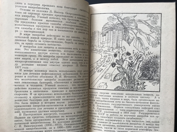 1985 Жизнь в почве Эврика, фото №6