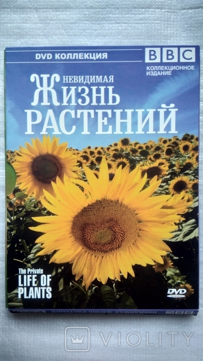 DVD диск Научно - популярного фильма о природе - Невидимая жизнь растений, фото №2