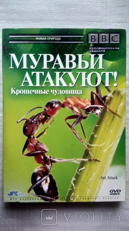 DVD диска Научно - популярного фильма о природе - Муравьи атакуют!, фото №2