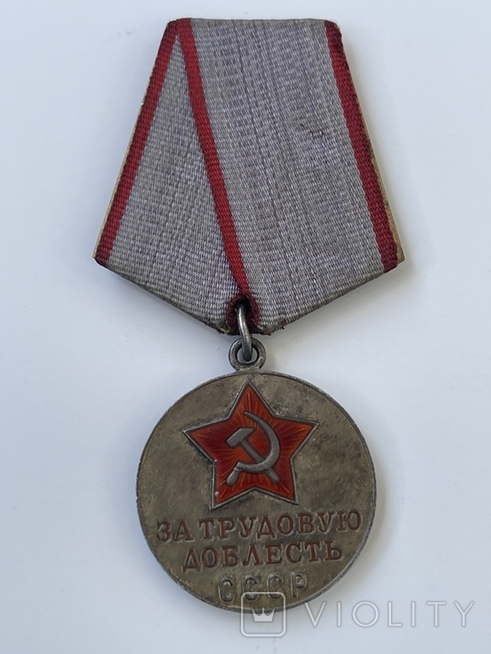 Медаль За трудовую доблесть, фото №2