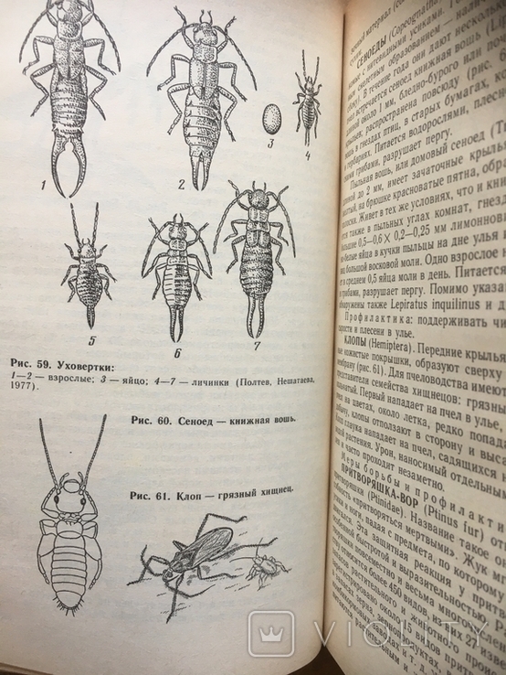 Хвороби і шкідники медоносних бджіл., фото №6