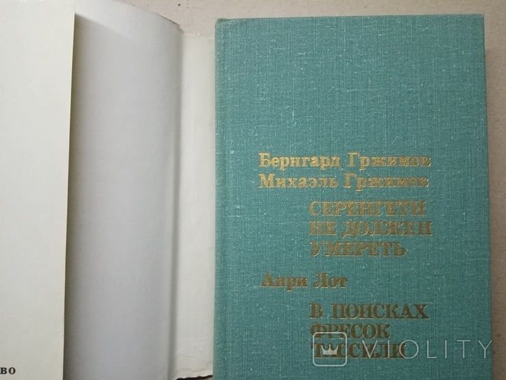 Серенити не должен умереть. В поисках фресок Тассили, фото №4