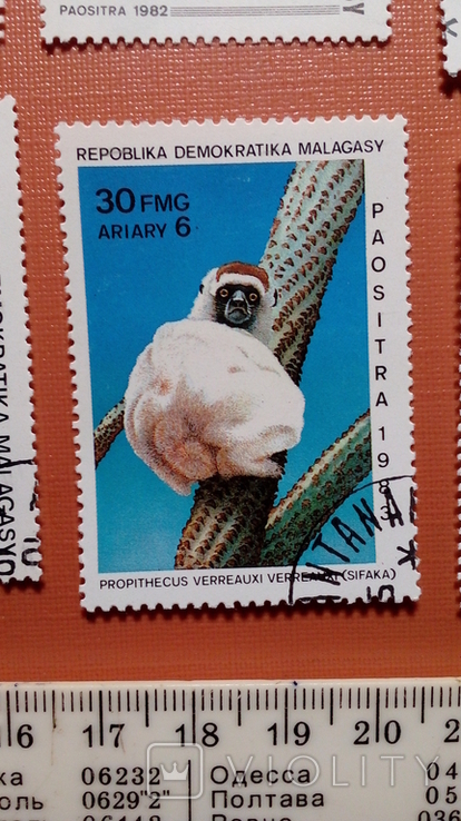 Мадагаскар No18 Фауна