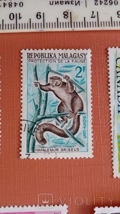 Мадагаскар No23 Фауна 1961 г