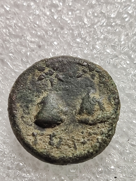Пантикапей, діхалк 130-125 до н.е., фото №2