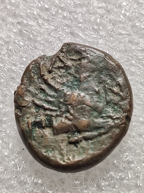Пантикапей, діхалк 314-310 до н.е., фото №4