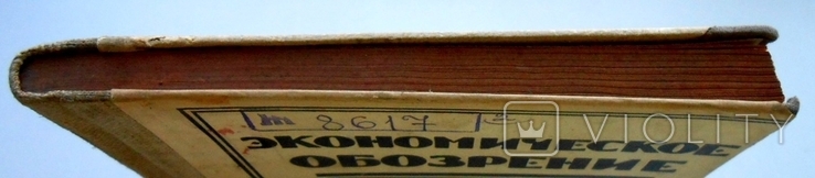 1927 г. Экономическое обозрение № 2 Донецк Донбасс уголь стране 232 стр. Тираж 3100 (2408), фото №4