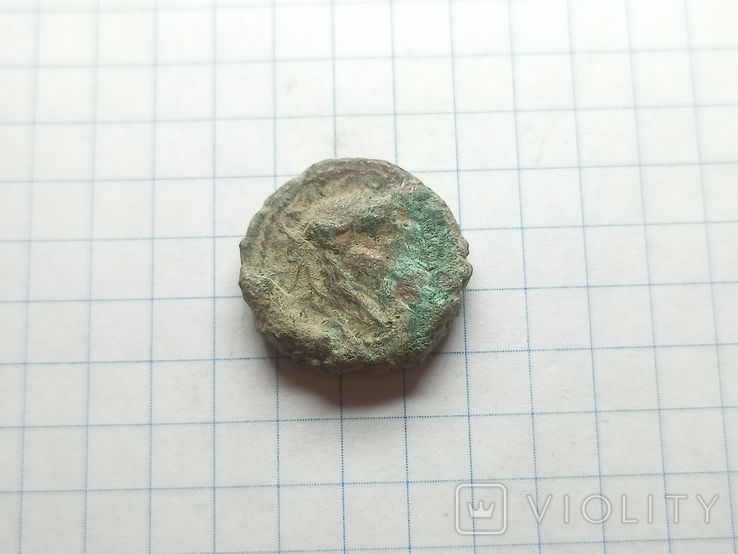 Монета Ольвии На чистку 4, фото №3