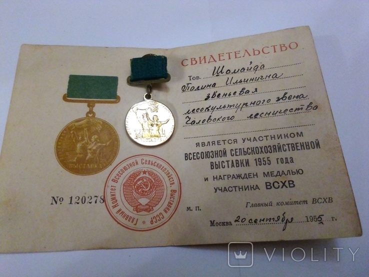 Медаль документ всгв, фото №3