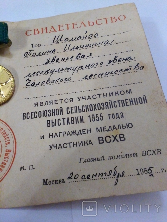 Медаль документ всгв, фото №4