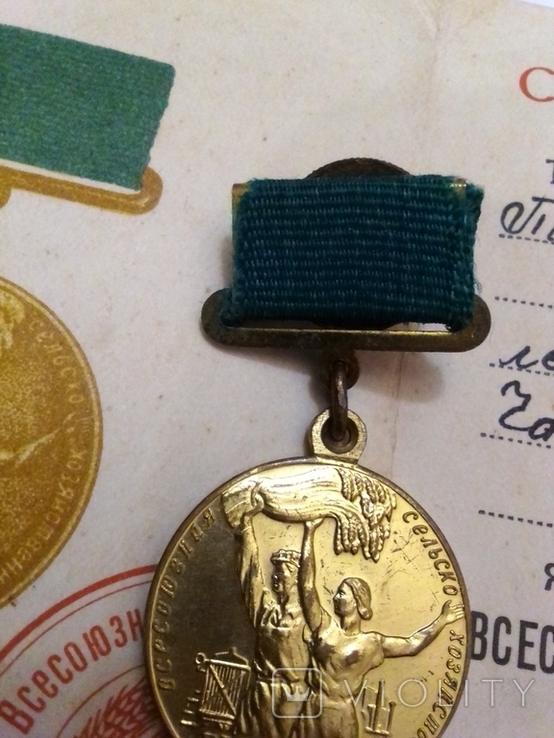 Медаль документ всгв, фото №6