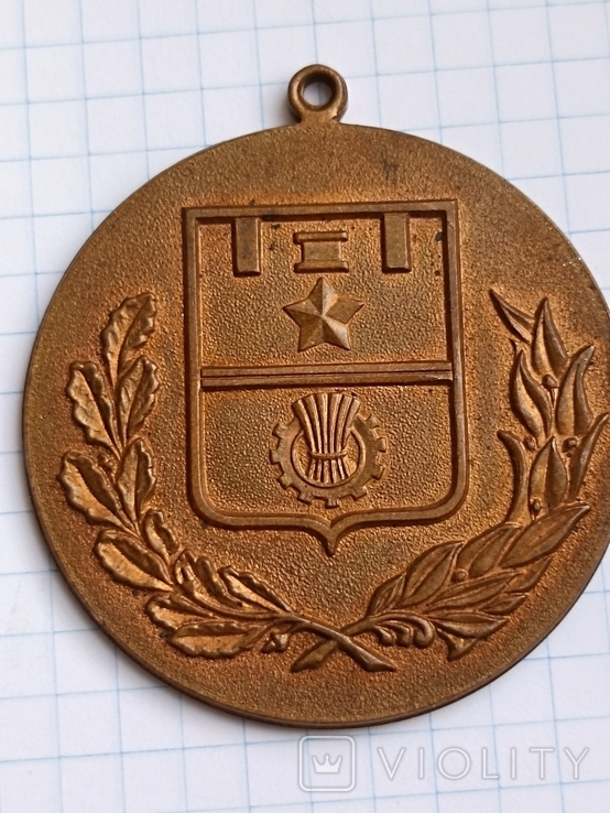 Медаль Почетный гражданин города Волгограда, фото №5
