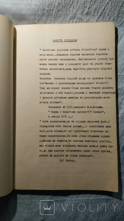 Літературний сценарій, В. Денисенко, "Осяяння (Черешнева віть)", фото №12