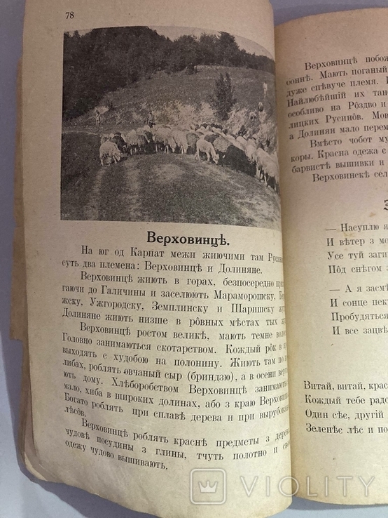 Осінь.Зима.Яр.Закарпатське читання., фото №4