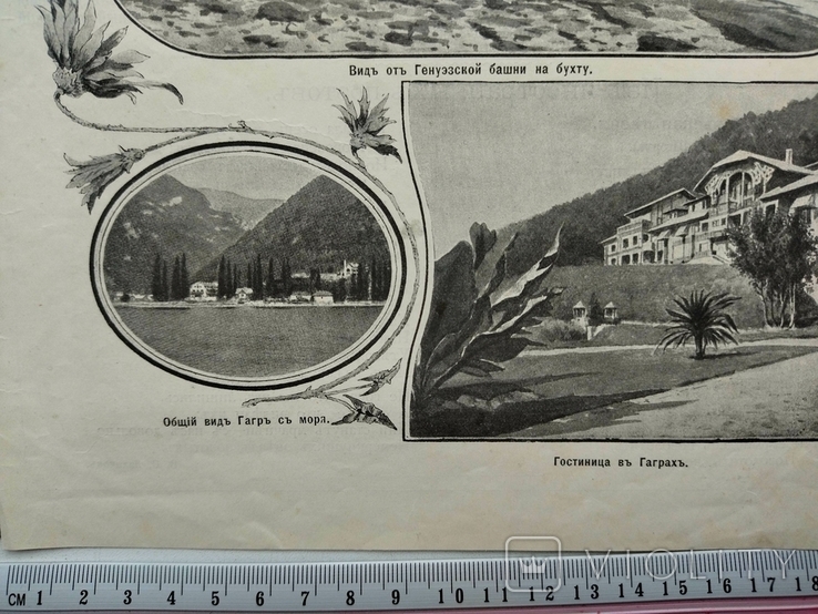 К.14.7.Дореволюционная журнальная гравюра Гагры Черноморский курорт, фото №3