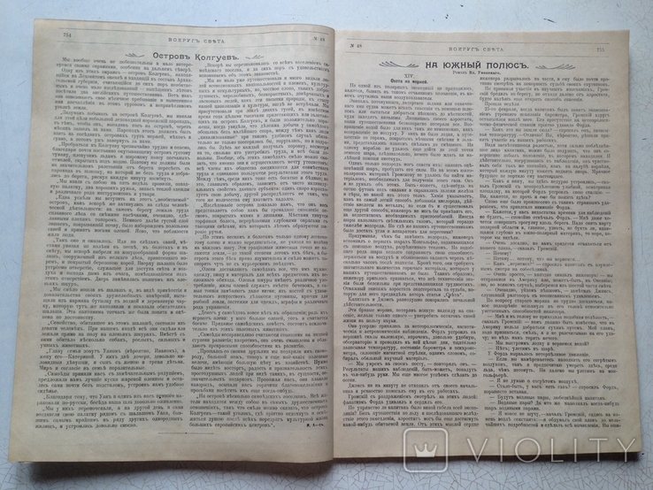 Вокруг света №48/1898. Артистическая татуировка. В гостях у самоедов.Насекомые и мы, фото №4