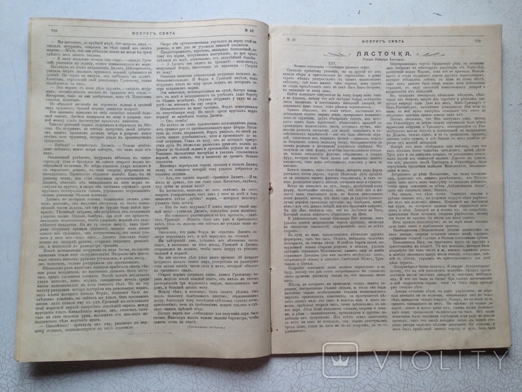 Вокруг света №48/1898. Артистическая татуировка. В гостях у самоедов.Насекомые и мы, фото №6