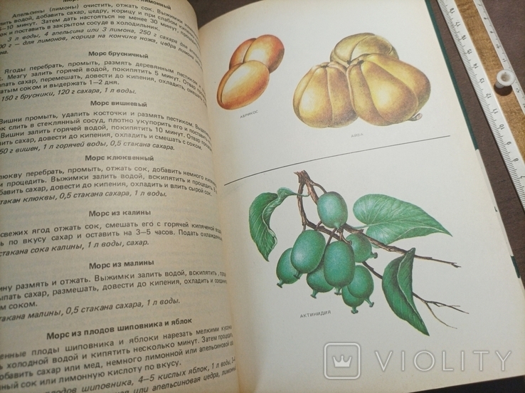 Плоды ягоды на вашем столе А.Радюк 1988, фото №5