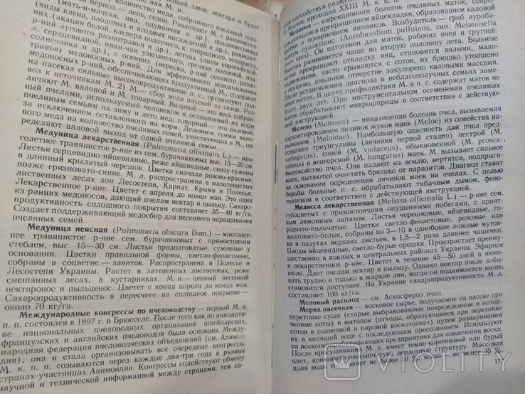 Словарь - справочник по пчеловодству, фото №4