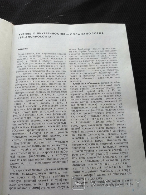 Анатомия человека 2 том 1985, фото №8