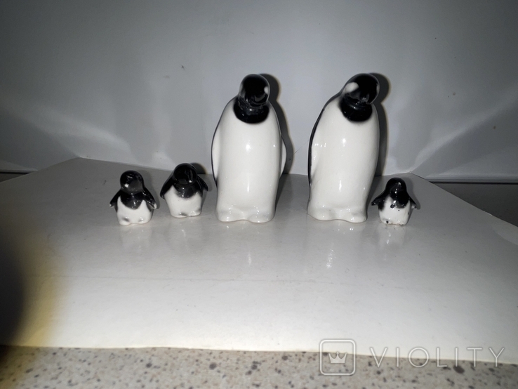 Семья пингвинов, фото №2