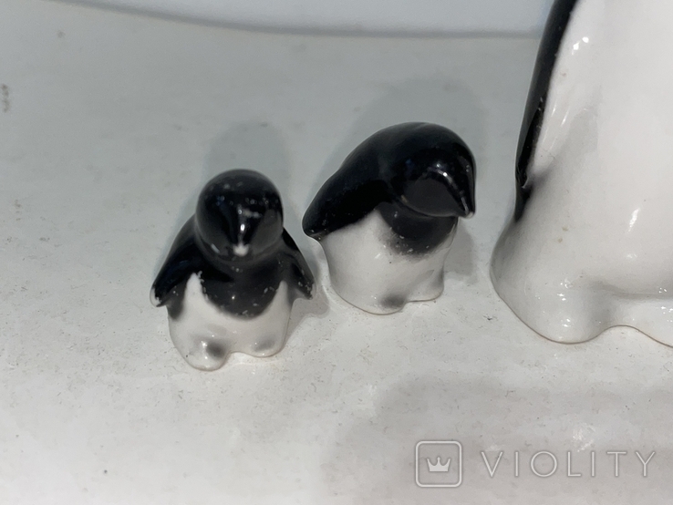 Семья пингвинов, фото №3