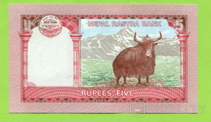 Непал 5 рупий 2017, фото №2