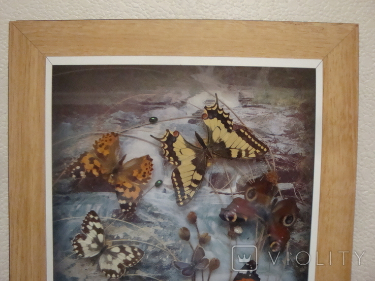 " Бабочки " сувенир 30 см. на 23 см., фото №3