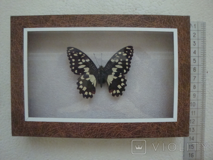 " Бабочка " сувенир, фото №3
