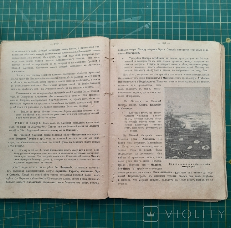 Начальный курс географии Азия,Африка,Америка,Австралия. 1917г., фото №7