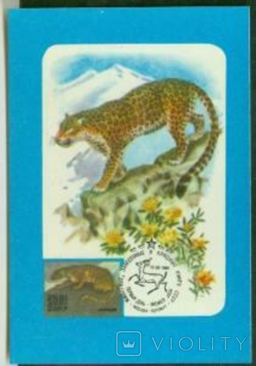 Максимум карт на календарях 1988 леопард