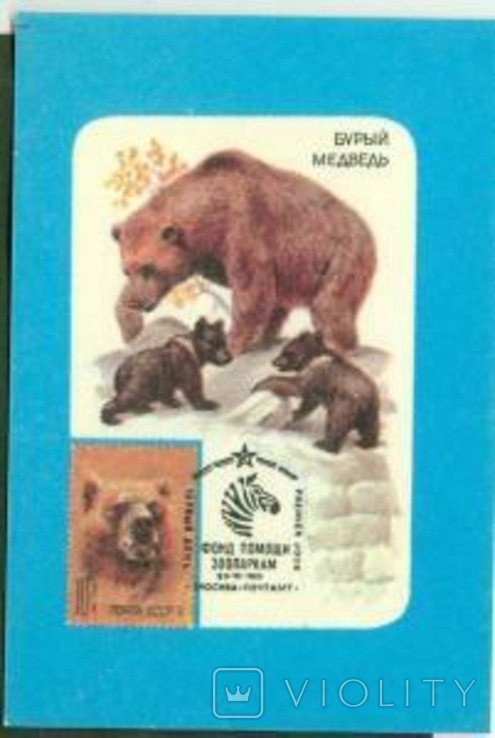 Максимум карток на календарях 1990 Ведмідь