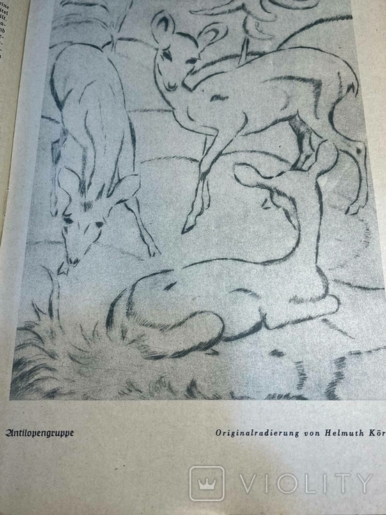 Буклет Книжкова гільдія 1941\4, фото №6