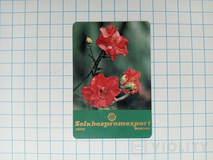 1978 «СільгоспПромЕкспорт». Реклама СРСР., фото №2
