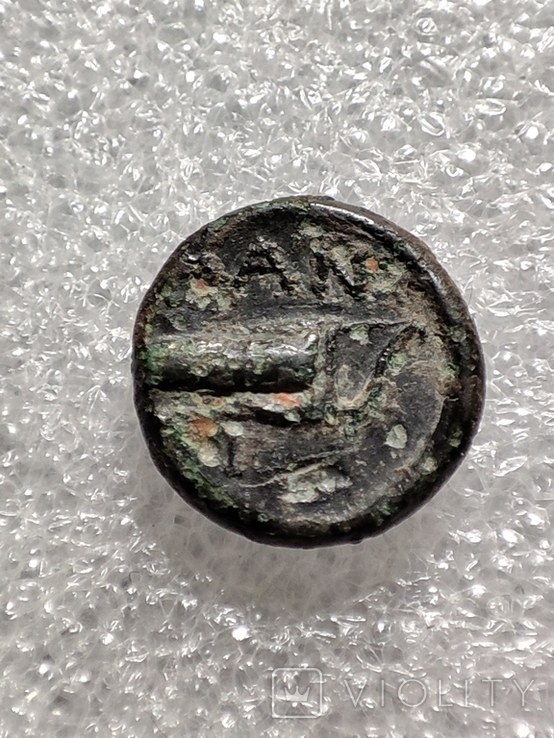 Пантикапей, халк 314-310 до н.е., фото №3
