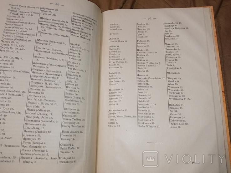 1917 П.Маштакрвъ Список рекъ бассейнов Днестра и Буга ( южного ) реки притоки + карта, фото №10