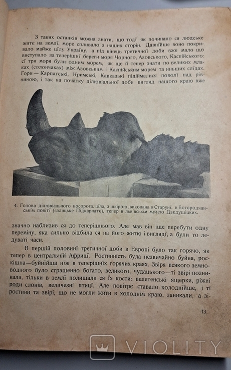 М.Грушевський Ілюстрована історія України. Київ-Львів 1911 р., фото №5