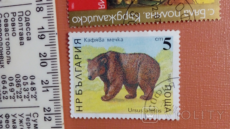 Болгарія No15 Фауна 1988 Ведмідь