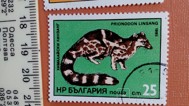 Болгарія No30 Фауна 1981