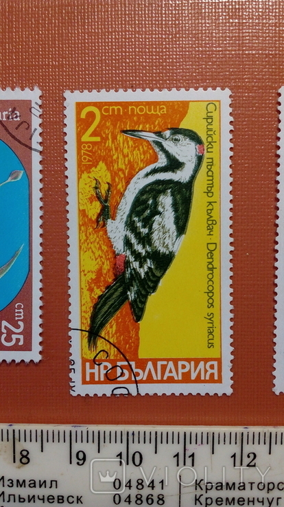 Болгарія No46 Фауна Птахівництво