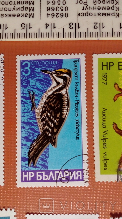Болгарія No47 Птах фауна