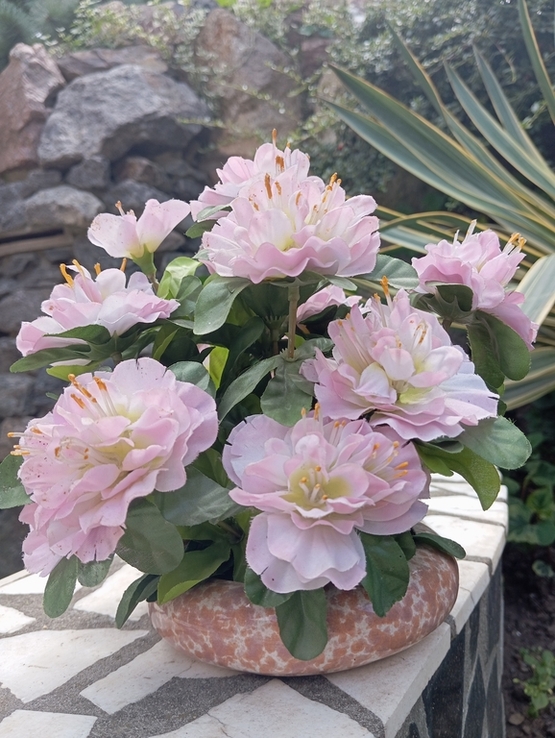 Цветок Букет хризантем, фото №2