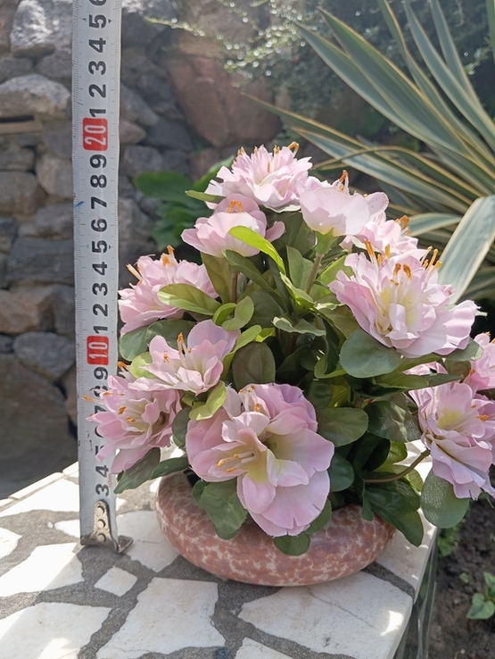 Цветок Букет хризантем, photo number 6
