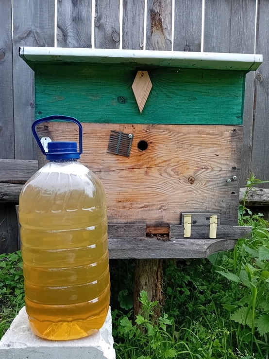 Мед пчеліний Акація. 5 литр, photo number 2