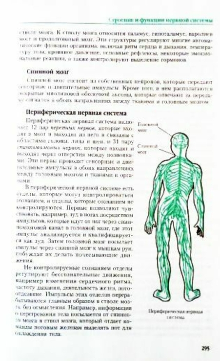 Полная энциклопедия народной медицины. Составитель А.В.Маркова, numer zdjęcia 9