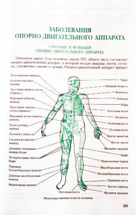 Полная энциклопедия народной медицины. Составитель А.В.Маркова, фото №10