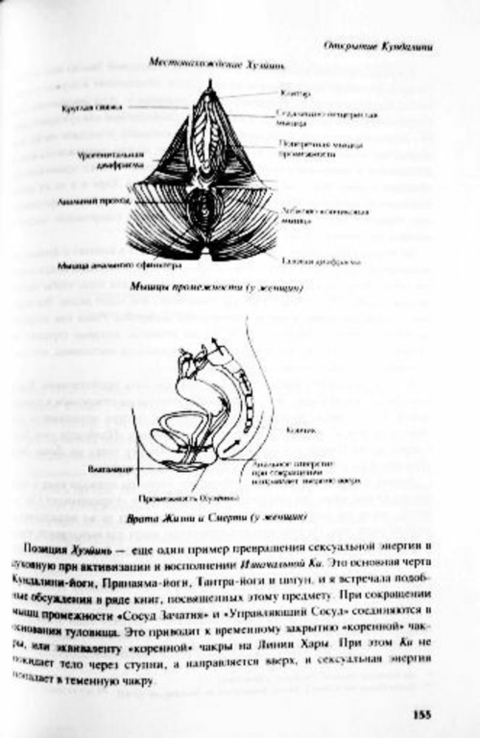 Основы Рейки. Полное руководство по древнему искусству исцеления. Дайяна Стайн, фото №10