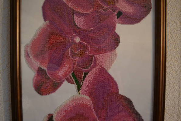 Орхидея, фото №3