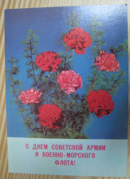 №1761 Открытка с Днем Советской армии 89г - 3