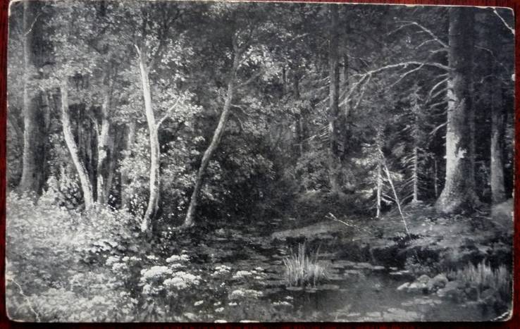 А.А.Редковский. Лесной ручей. 1915г., фото №2